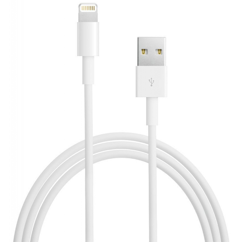 Câble téléphone portable Apple CABLE LIGHTNING VERS USB (MD818ZM/A) -  LIGHTNING