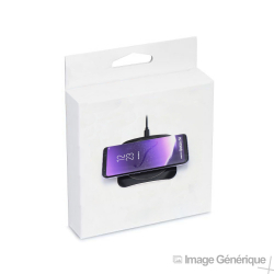 Adaptateur Secteur/USB 10W Pour Ipad