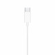 Apple MYQY3 - Original Earphones For Iphone - Type-C - Blister