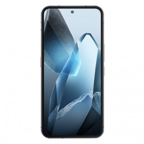 Oukitel WP200 Pro (6,7" - NFC - Integrierte Bluetooth-Kopfhörer - 1 TB, 24 GB RAM) Grau